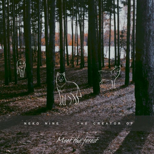 Meet the Forest
