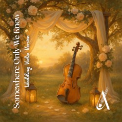 Somewhere Only We Know (Violin Cover)