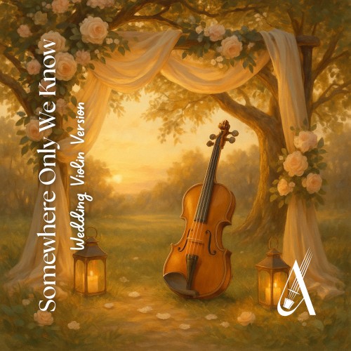 Somewhere Only We Know (Violin Cover)