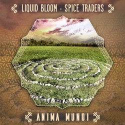 Anima Mundi