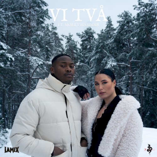 Vi Två