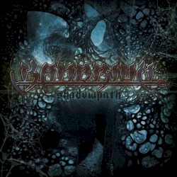 Shadowpath