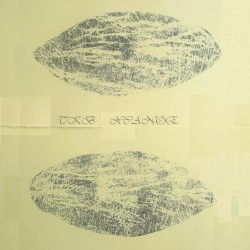 Xcanoe