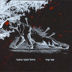 ניהול מצבי משבר
