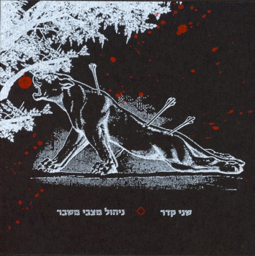 ניהול מצבי משבר