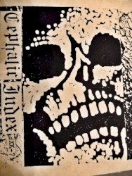 Cephalic Index