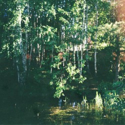 Childhood Nature