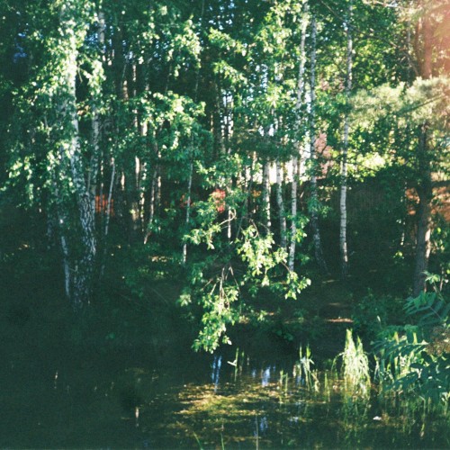 Childhood Nature