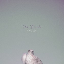 The Breaks - 5 Way Split