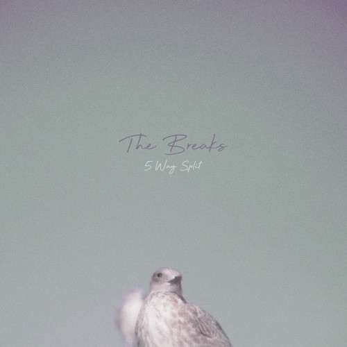The Breaks - 5 Way Split