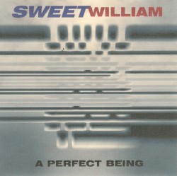 A Perfect Being