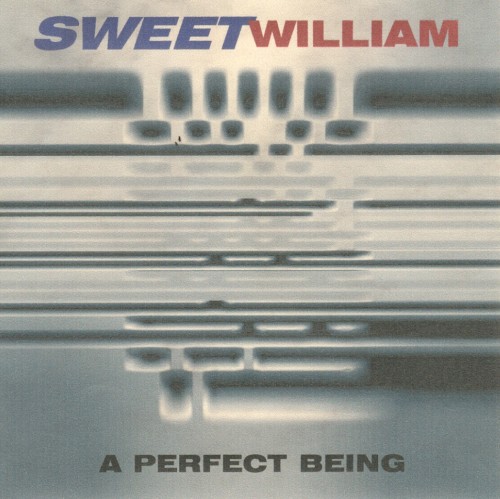 A Perfect Being