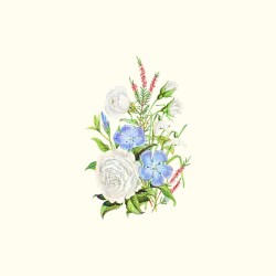 Etude of clair