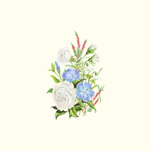 Etude of clair