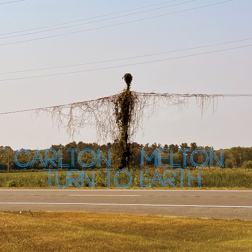 Turn to Earth