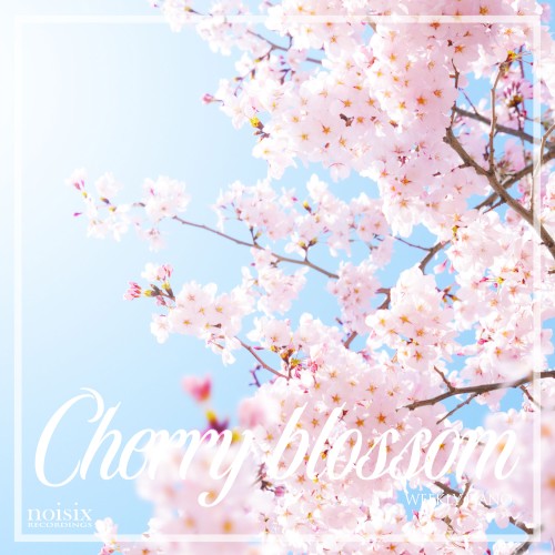 Cherry Blossom