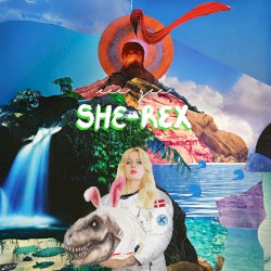SHE‐REX
