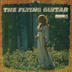 The Flying Guitar