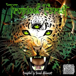Tropical Forest