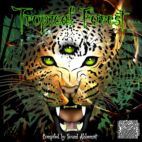 Tropical Forest