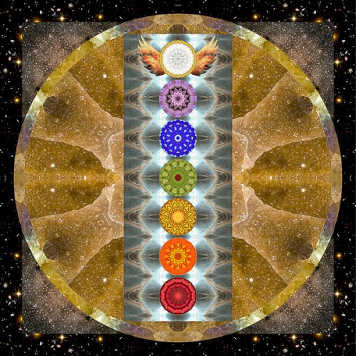 Love Reigns Eternal: The Venus Transit