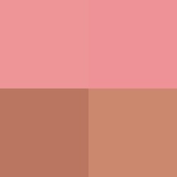 #!/for/roun