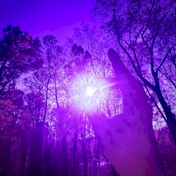 ULTRAVIOLET
