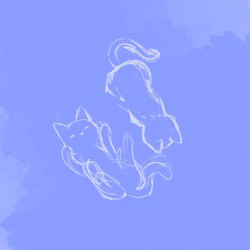 More Cats but Not Necessarily Classical