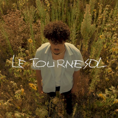 Le Tournesol