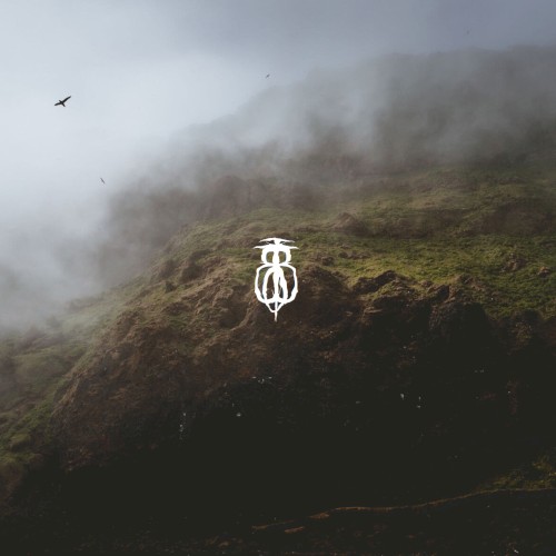 In the Midst of Mist