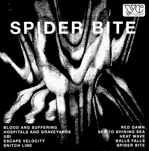 Spider Bite