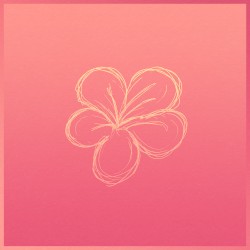 Blossom