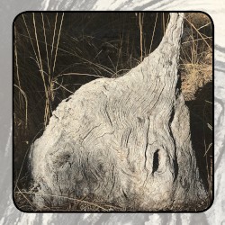 Moonlit Missive #83