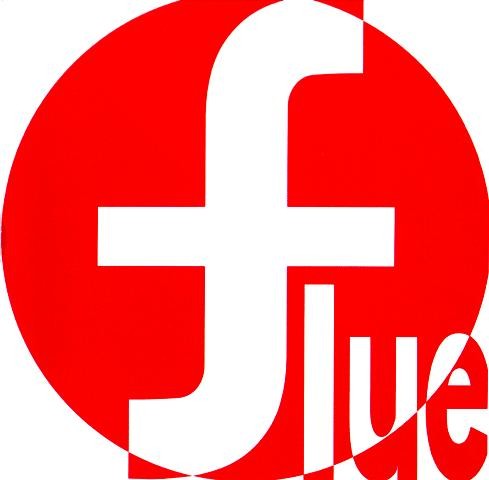 Flue