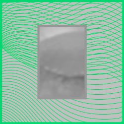 SGW Loops Vol.5