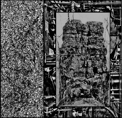 Vomir / Monolith Of Shit