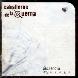 La paciencia de la araña