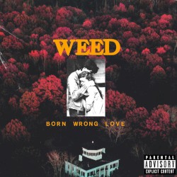 Born Wrong Love