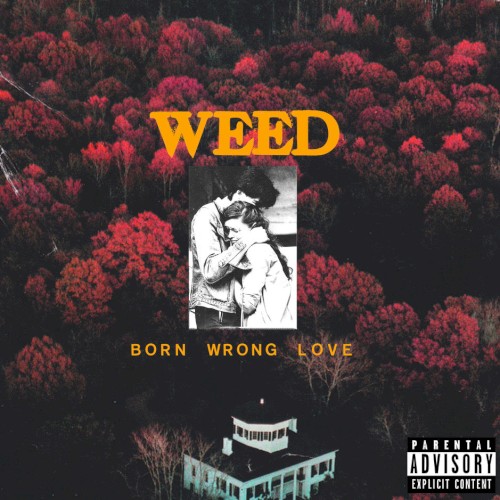 Born Wrong Love