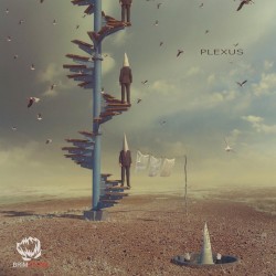 Plexus