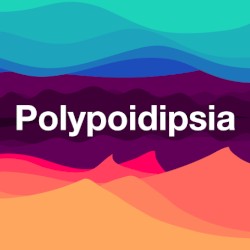 Polypoidipsia