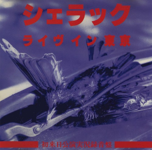 ライヴイン東京