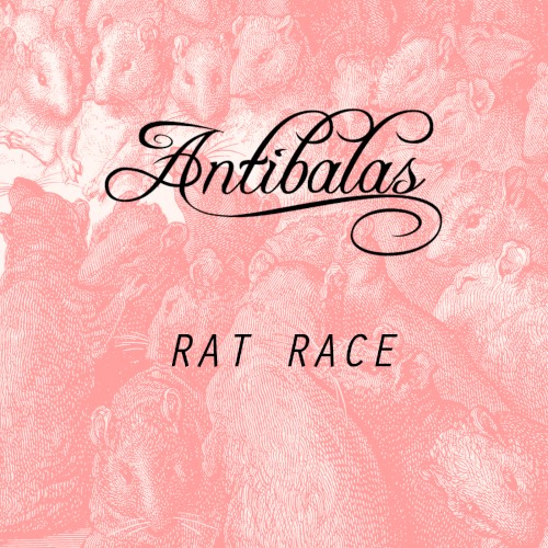 Rat Race