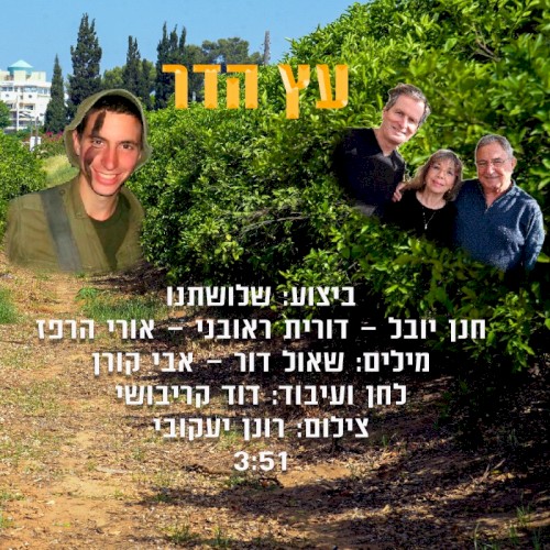 עץ הדר
