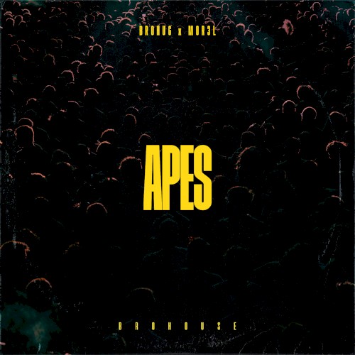 Apes
