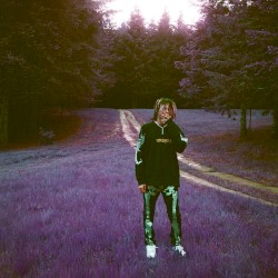 WILDFIRE