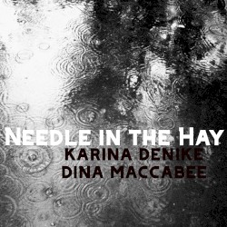 Needle in the Hay