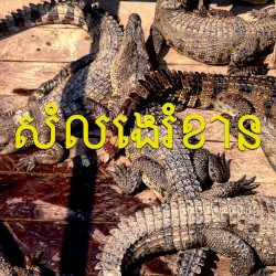 SE Asian Noise(s)