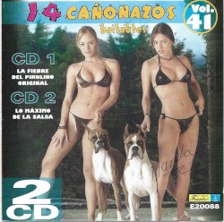 14 cañonazos bailables