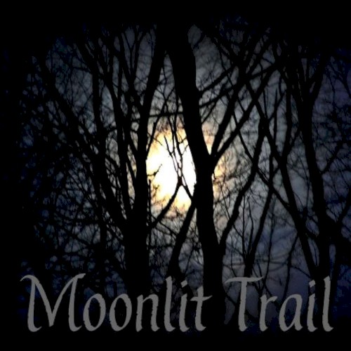 Moonlit Trail